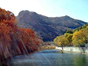 新澳门二四六天天彩，鸿蒙大道